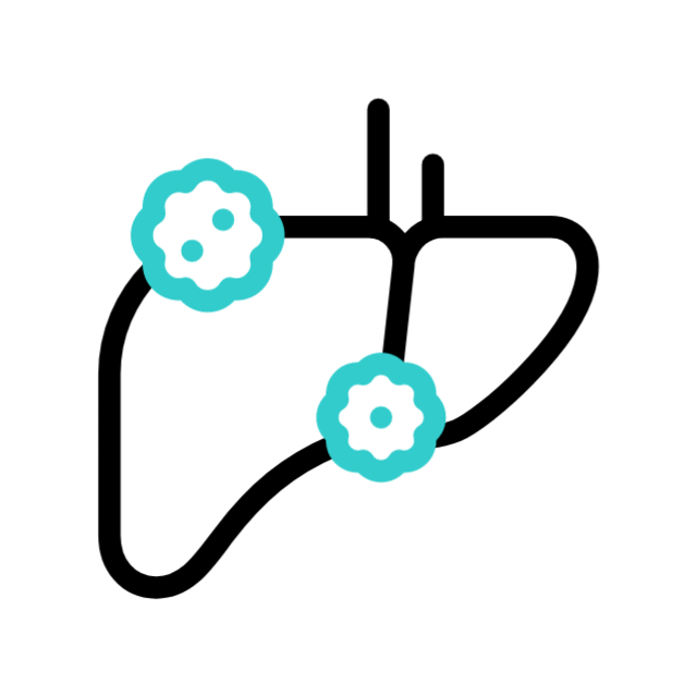 Elastography: Liver Elastography